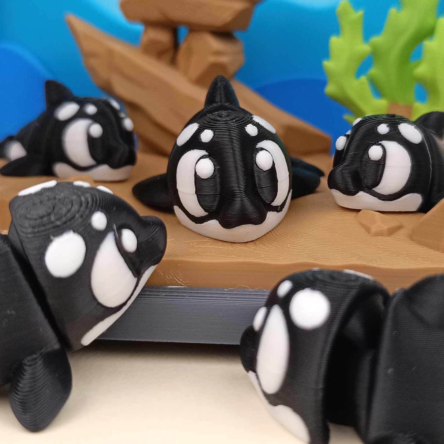 killerwhale.png
